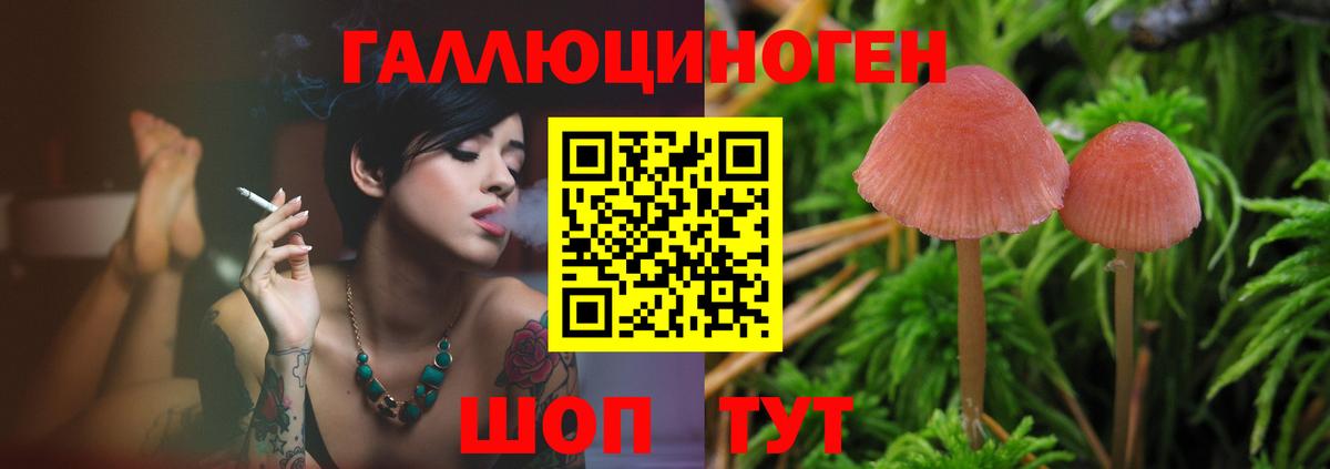 Галлюциногенные грибы Cubensis  Галлюциногенные грибы Psilocybe  Вход с VPN  Назрань 