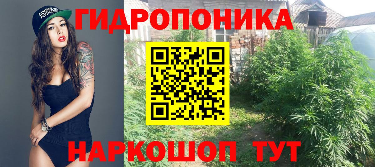 МАРИХУАНА конопля Назрань